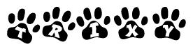 The image shows a row of animal paw prints, each containing a letter. The letters spell out the word Trixy within the paw prints.