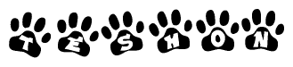 Animal Paw Prints with Teshon Lettering