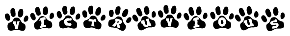 The image shows a series of animal paw prints arranged horizontally. Within each paw print, there's a letter; together they spell Victruvious