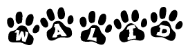 The image shows a series of animal paw prints arranged in a horizontal line. Each paw print contains a letter, and together they spell out the word Walid.