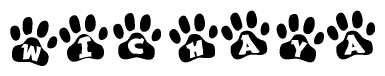 The image shows a series of animal paw prints arranged in a horizontal line. Each paw print contains a letter, and together they spell out the word Wichaya.