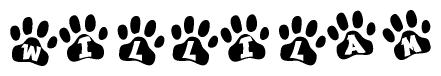 The image shows a series of animal paw prints arranged in a horizontal line. Each paw print contains a letter, and together they spell out the word Willilam.