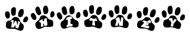 The image shows a row of animal paw prints, each containing a letter. The letters spell out the word Whitney within the paw prints.