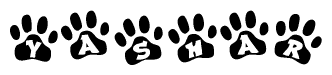 The image shows a series of animal paw prints arranged in a horizontal line. Each paw print contains a letter, and together they spell out the word Yashar.