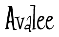 The image contains the word 'Avalee' written in a cursive, stylized font.