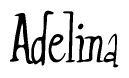 The image is a stylized text or script that reads 'Adelina' in a cursive or calligraphic font.
