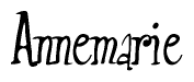 The image is a stylized text or script that reads 'Annemarie' in a cursive or calligraphic font.