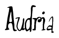   The image is of the word Audria stylized in a cursive script. 