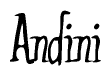 The image is of the word Andini stylized in a cursive script.