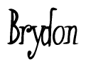 The image is of the word Brydon stylized in a cursive script.