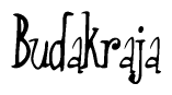 The image contains the word 'Budakraja' written in a cursive, stylized font.