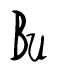 The image contains the word 'Bu' written in a cursive, stylized font.