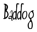 Baddog