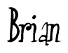 The image is of the word Brian stylized in a cursive script.