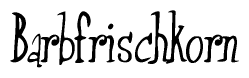 The image is of the word Barbfrischkorn stylized in a cursive script.
