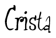 The image is of the word Crista stylized in a cursive script.