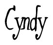 Cursive 'Cyndy' Text