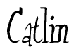 The image is of the word Catlin stylized in a cursive script.