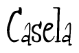 The image is a stylized text or script that reads 'Casela' in a cursive or calligraphic font.