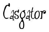 The image is a stylized text or script that reads 'Casgator' in a cursive or calligraphic font.