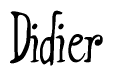 The image is of the word Didier stylized in a cursive script.