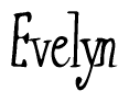 The image contains the word 'Evelyn' written in a cursive, stylized font.