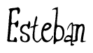 The image is of the word Esteban stylized in a cursive script.