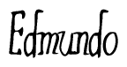 The image is a stylized text or script that reads 'Edmundo' in a cursive or calligraphic font.