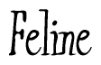 The image is a stylized text or script that reads 'Feline' in a cursive or calligraphic font.