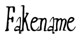 The image is of the word Fakename stylized in a cursive script.