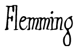 The image contains the word 'Flemming' written in a cursive, stylized font.