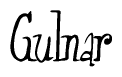The image contains the word 'Gulnar' written in a cursive, stylized font.