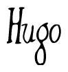 The image contains the word 'Hugo' written in a cursive, stylized font.