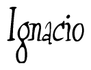 The image is a stylized text or script that reads 'Ignacio' in a cursive or calligraphic font.
