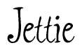The image is of the word Jettie stylized in a cursive script.