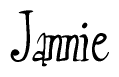   The image is of the word Jannie stylized in a cursive script. 