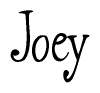 The image is a stylized text or script that reads 'Joey' in a cursive or calligraphic font.