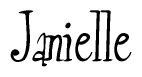 The image is of the word Janielle stylized in a cursive script.