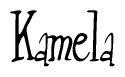 The image is of the word Kamela stylized in a cursive script.