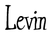 The image is of the word Levin stylized in a cursive script.