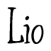 The image is of the word Lio stylized in a cursive script.