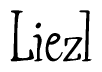 The image is of the word Liezl stylized in a cursive script.