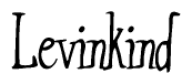 The image contains the word 'Levinkind' written in a cursive, stylized font.