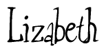 The image is a stylized text or script that reads 'Lizabeth' in a cursive or calligraphic font.