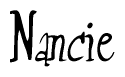 The image contains the word 'Nancie' written in a cursive, stylized font.