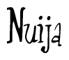 The image is a stylized text or script that reads 'Nuija' in a cursive or calligraphic font.