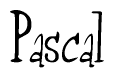 The image contains the word 'Pascal' written in a cursive, stylized font.