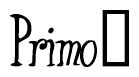 The image contains the word 'Primo' written in a cursive, stylized font.
