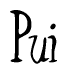 The image contains the word 'Pui' written in a cursive, stylized font.