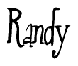 The image contains the word 'Randy' written in a cursive, stylized font.